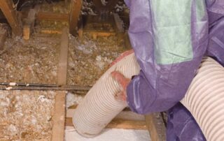 why you need to remove old insulation canberra act