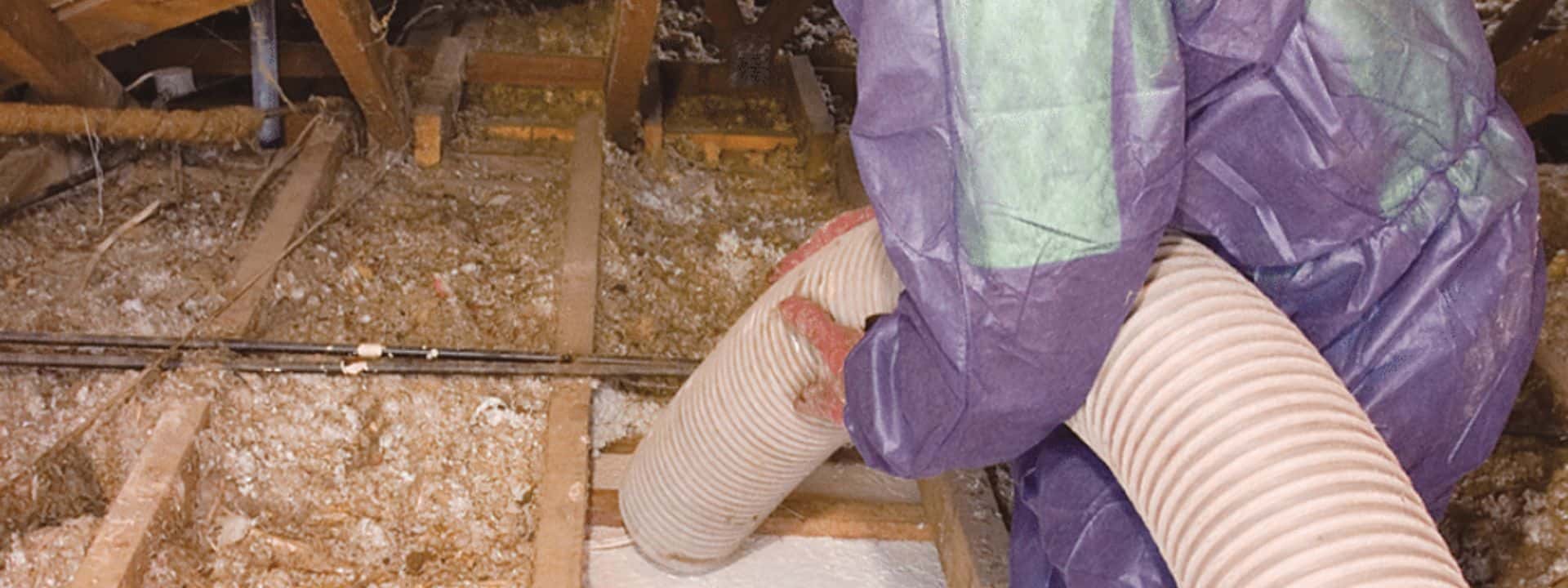 why you need to remove old insulation canberra act